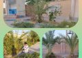 پاکسازی علفهای هرز و هرس کردن نخل های باغچه های مدرسه غدیرخم توسط واحد خدمات شهری شهرداری ابوحمیظه در راستای استقبال ازماه مهر و بازگشایی مدارس پاکسازی علفهای هرز و هرس کردن نخل های باغچه های مدرسه غدیرخم توسط واحد خدمات شهری شهرداری ابوحمیظه در راستای استقبال ازماه مهر و بازگشایی مدارس