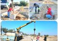 نصب فونداسیون تیرک های روشنایی توسط پرسنل شهرداری نصب فونداسیون تیرک های روشنایی توسط پرسنل شهرداری