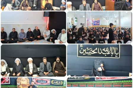 و نائب رئیس شورای اسلامی شهر در مراسم و‌مجالس محرم در سطح شهر