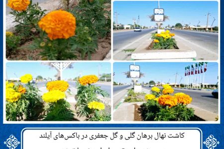 کاشت نهال برهان گلی و گل جعفری
